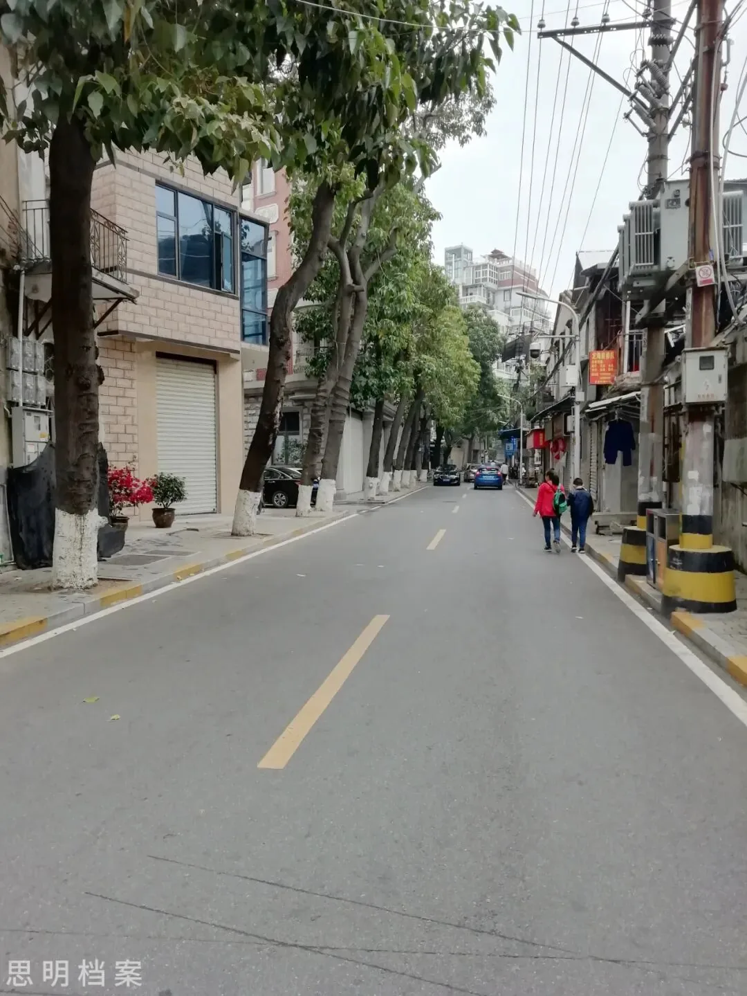 百家村街区树荫下的街道